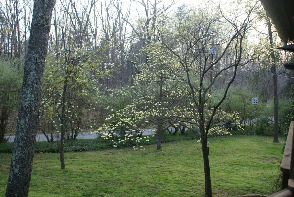 Burtonsville Ebenezer House Bed & Breakfast المظهر الخارجي الصورة